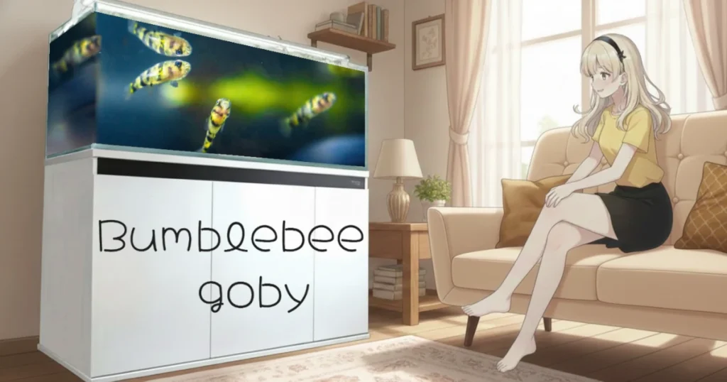 バンブルビーゴビー Bumblebee goby